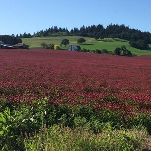 CLICK HERE AND READ THE DESCRIPTION 🚨🚨